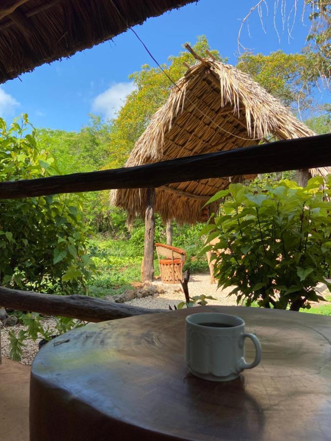 Encantadora Villa Maya Tradicional En Rancho Agroecologico Tzucacab ภายนอก รูปภาพ