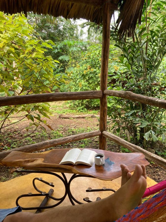 Encantadora Villa Maya Tradicional En Rancho Agroecologico Tzucacab ภายนอก รูปภาพ
