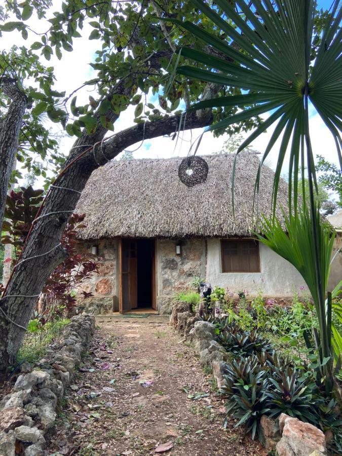 Encantadora Villa Maya Tradicional En Rancho Agroecologico Tzucacab ภายนอก รูปภาพ
