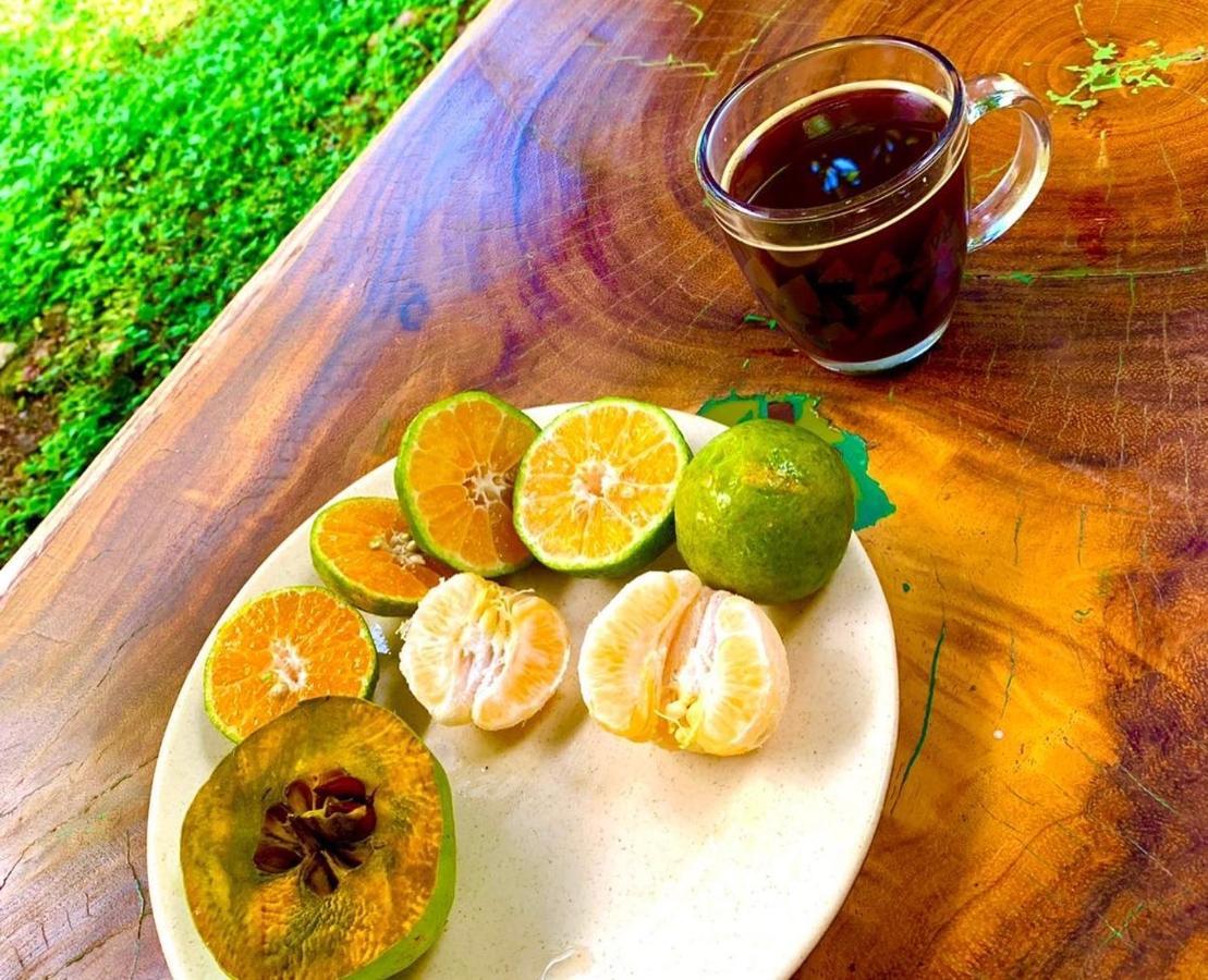 Encantadora Villa Maya Tradicional En Rancho Agroecologico Tzucacab ภายนอก รูปภาพ