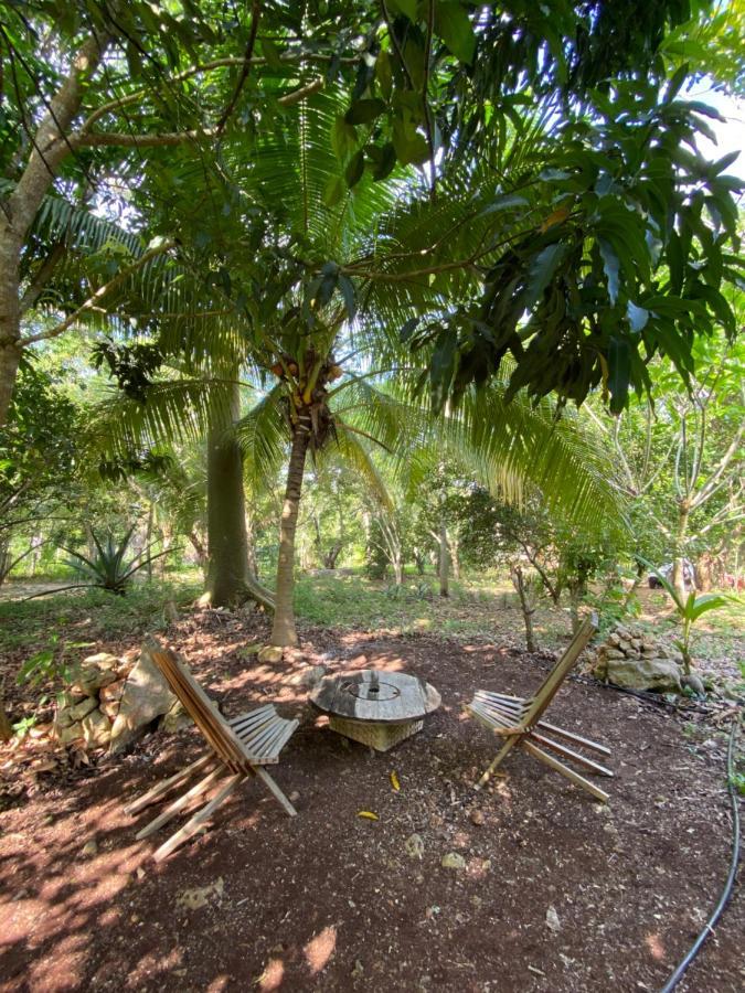 Encantadora Villa Maya Tradicional En Rancho Agroecologico Tzucacab ภายนอก รูปภาพ