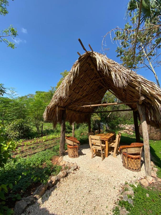 Encantadora Villa Maya Tradicional En Rancho Agroecologico Tzucacab ภายนอก รูปภาพ