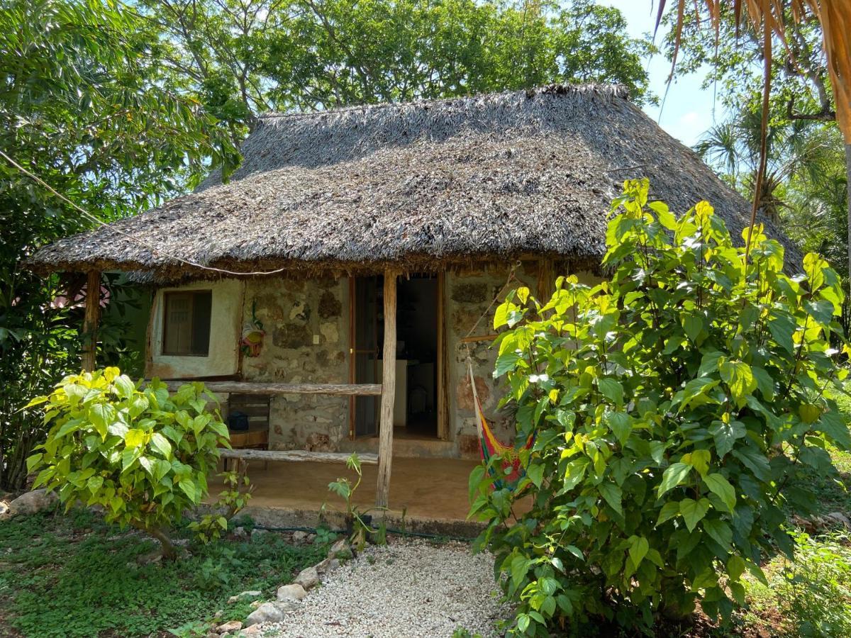 Encantadora Villa Maya Tradicional En Rancho Agroecologico Tzucacab ภายนอก รูปภาพ