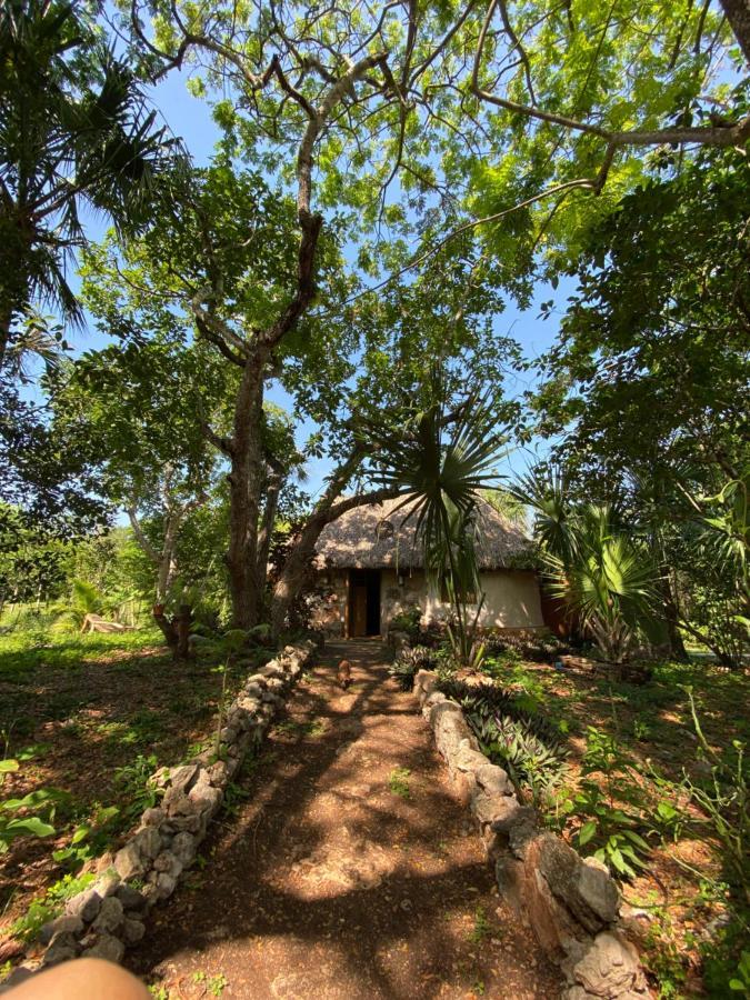 Encantadora Villa Maya Tradicional En Rancho Agroecologico Tzucacab ภายนอก รูปภาพ