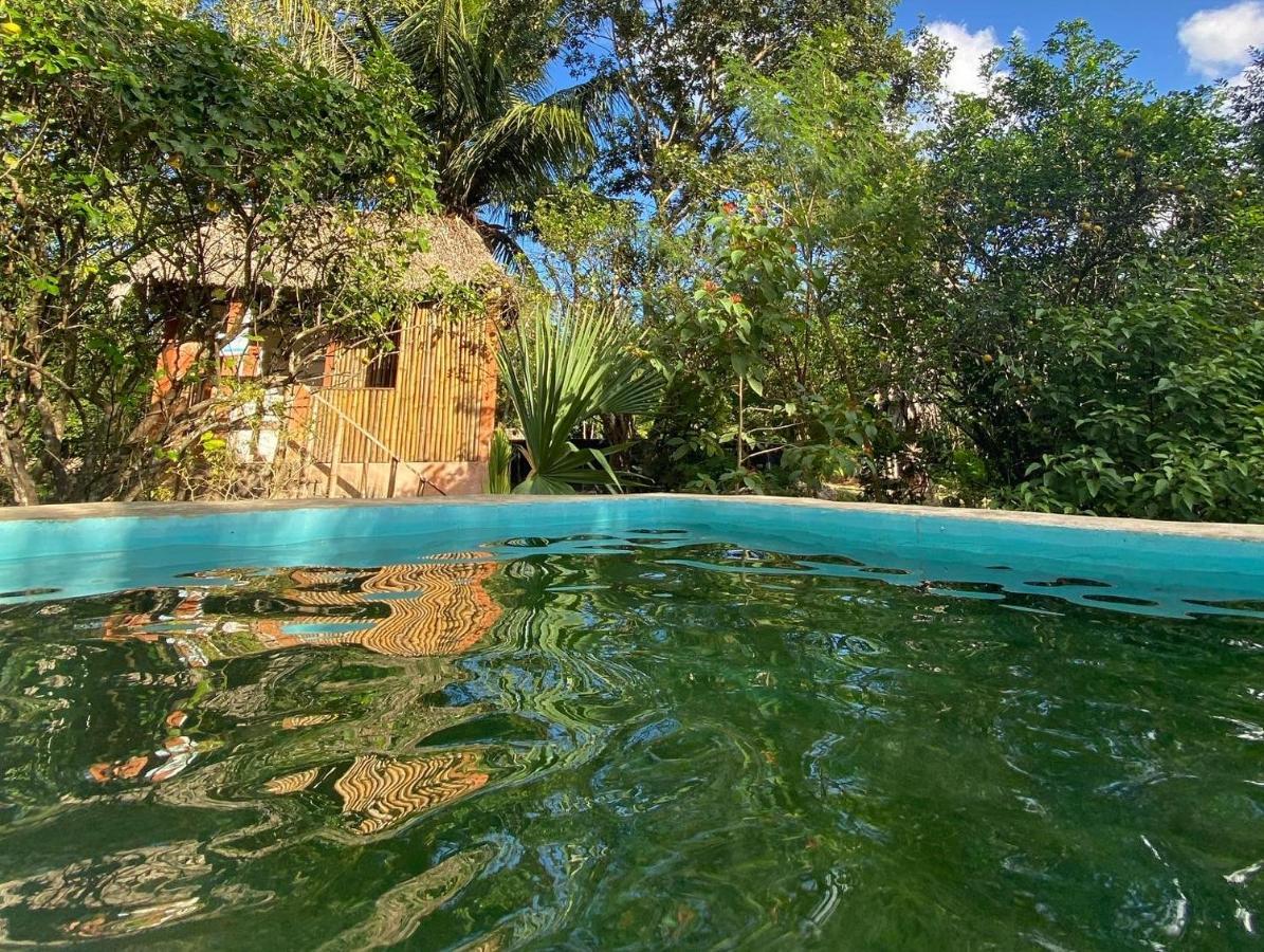 Encantadora Villa Maya Tradicional En Rancho Agroecologico Tzucacab ภายนอก รูปภาพ