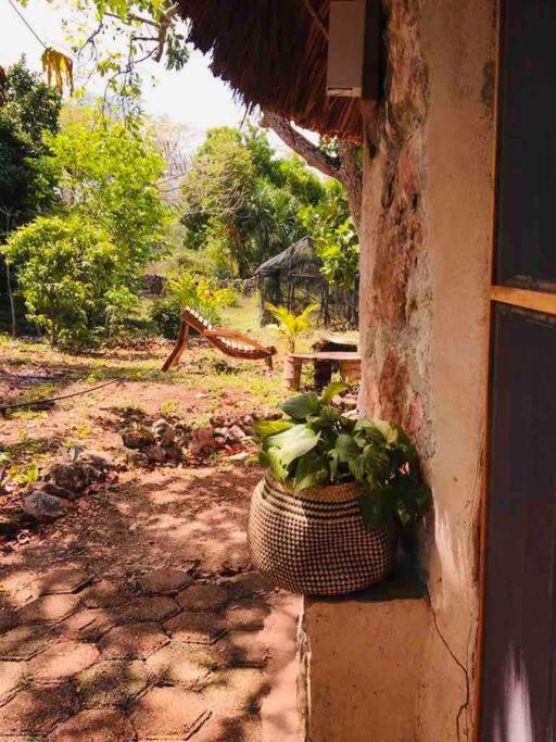 Encantadora Villa Maya Tradicional En Rancho Agroecologico Tzucacab ภายนอก รูปภาพ