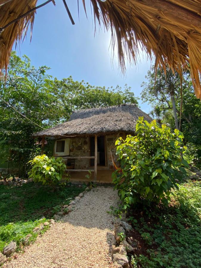 Encantadora Villa Maya Tradicional En Rancho Agroecologico Tzucacab ภายนอก รูปภาพ