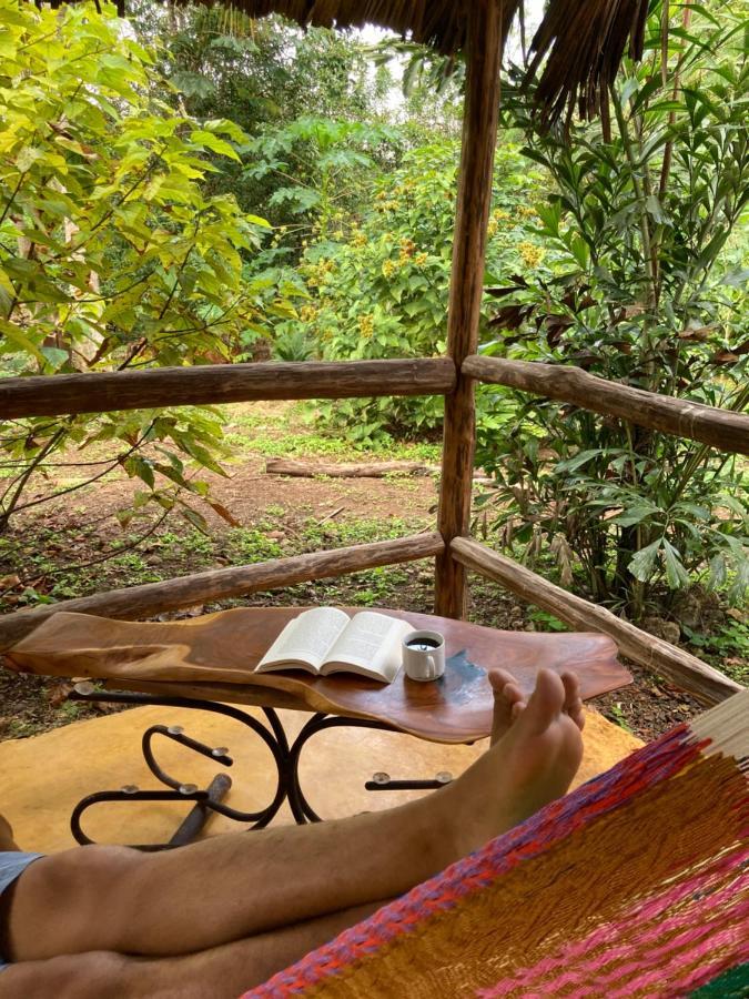 Encantadora Villa Maya Tradicional En Rancho Agroecologico Tzucacab ภายนอก รูปภาพ