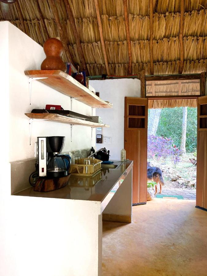 Encantadora Villa Maya Tradicional En Rancho Agroecologico Tzucacab ภายนอก รูปภาพ