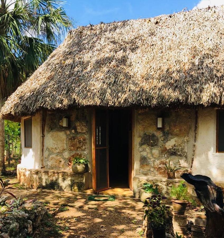 Encantadora Villa Maya Tradicional En Rancho Agroecologico Tzucacab ภายนอก รูปภาพ