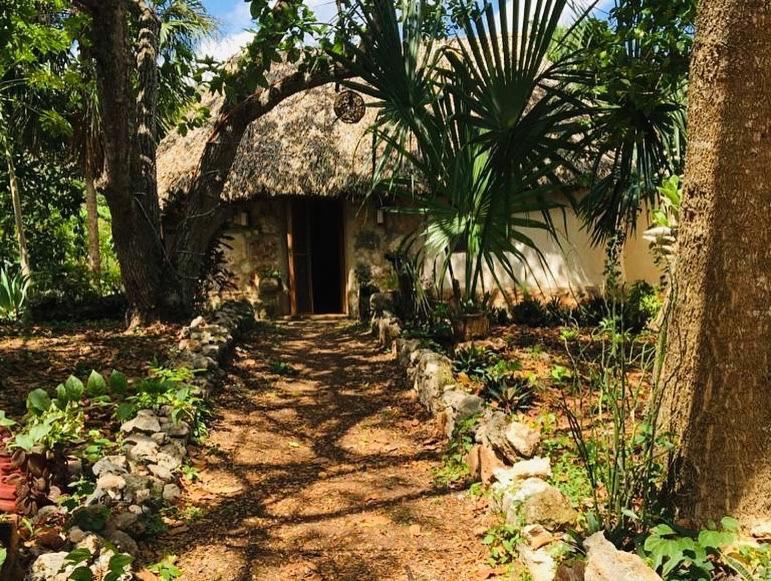 Encantadora Villa Maya Tradicional En Rancho Agroecologico Tzucacab ภายนอก รูปภาพ