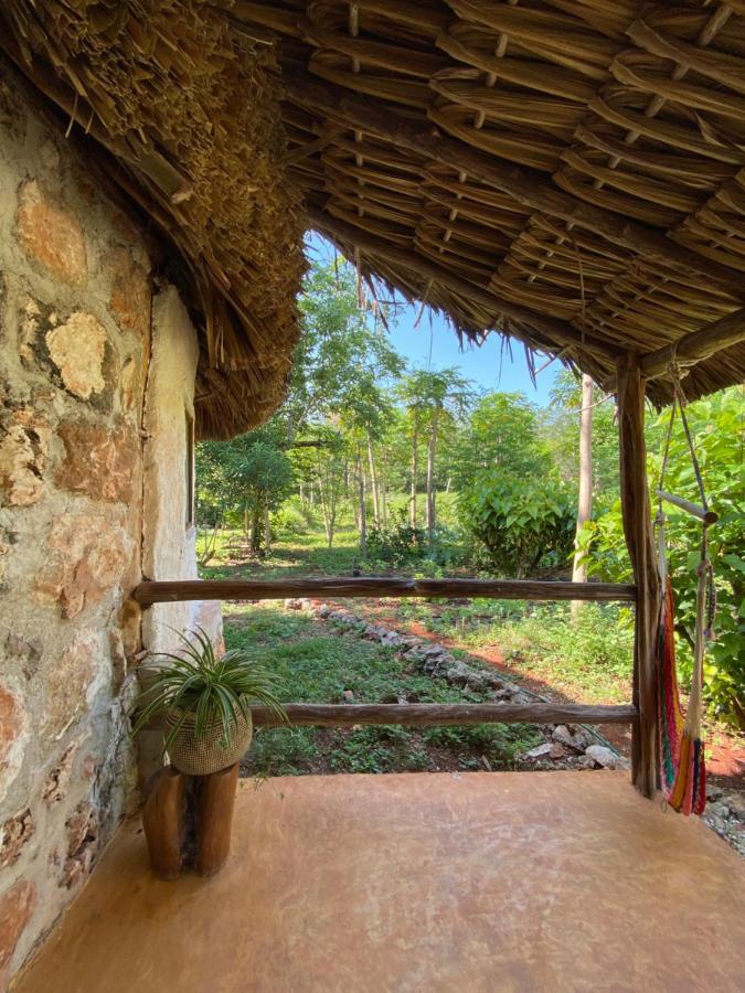 Encantadora Villa Maya Tradicional En Rancho Agroecologico Tzucacab ภายนอก รูปภาพ
